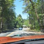 OTRA2013_0936 (July 12, 2013)